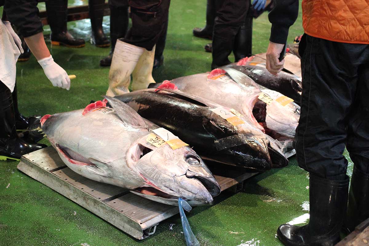 魚問屋株式会社